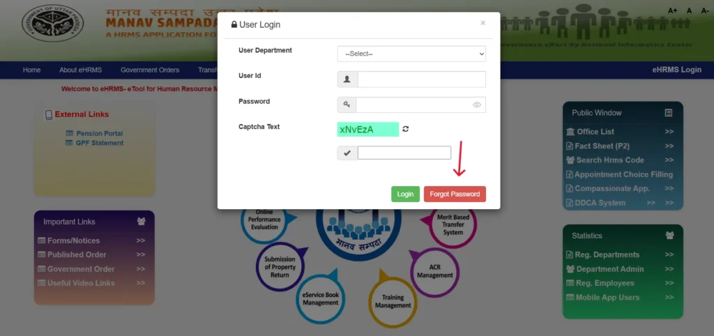 Forgot Password